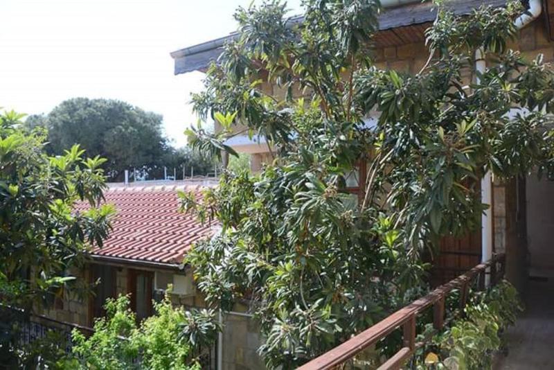סייד Antonios Motel מראה חיצוני תמונה
